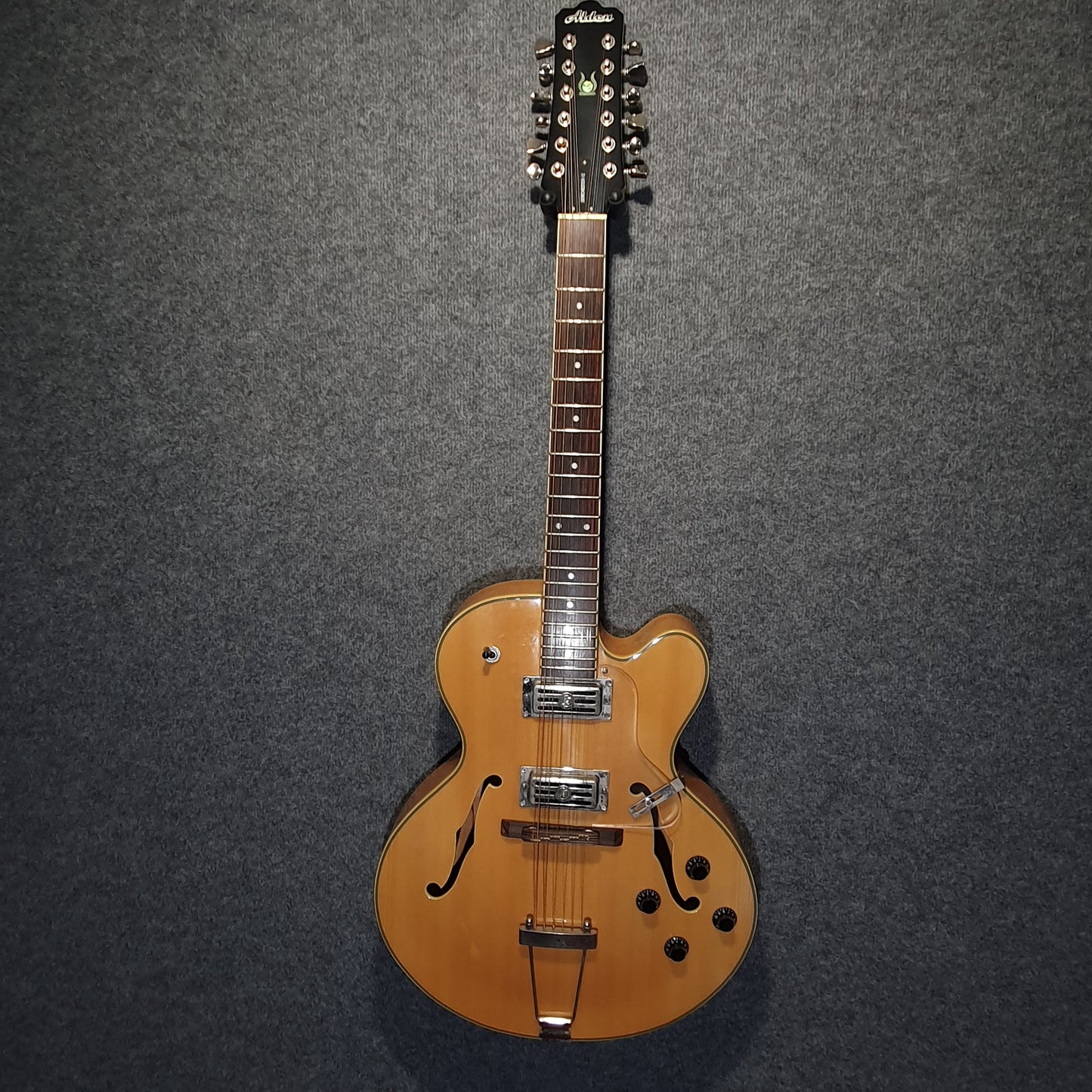 Alden 'Dorchester' 12 String Electric Guitar