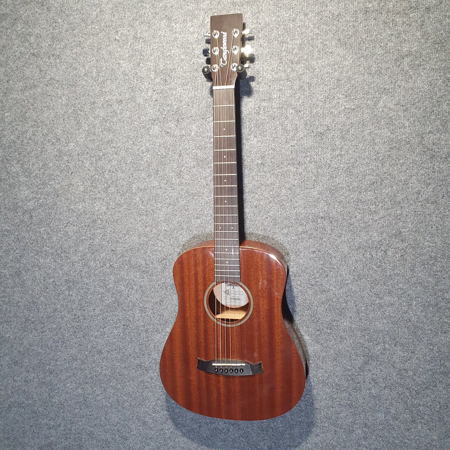 Tanglewood 'Winterleaf ' TW2TXE Travel Guitar