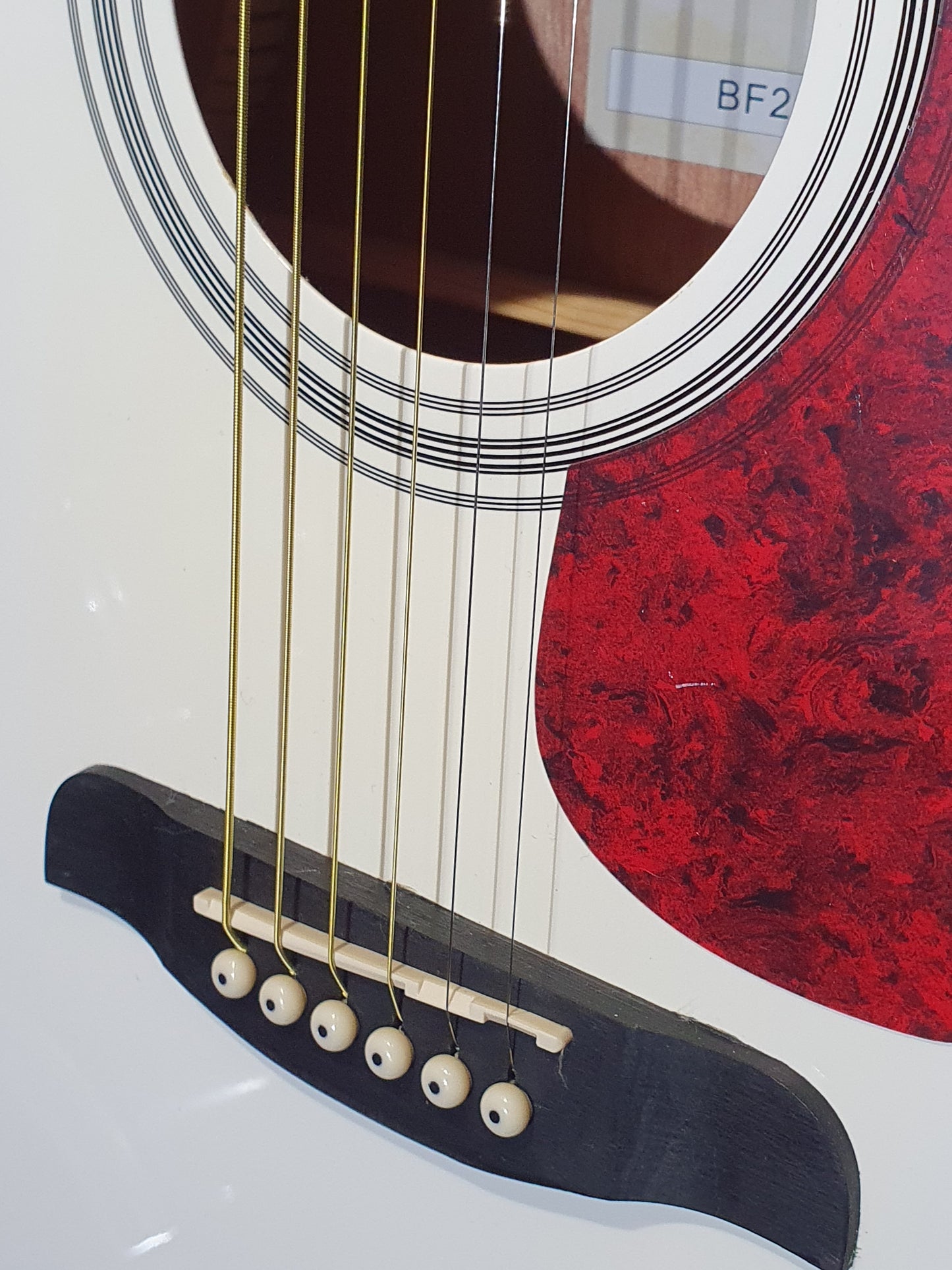 Brunswick BF200 Acoustic Guitar