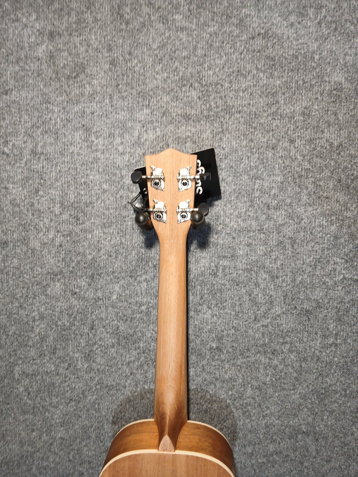Stagg Tenor Ukulele