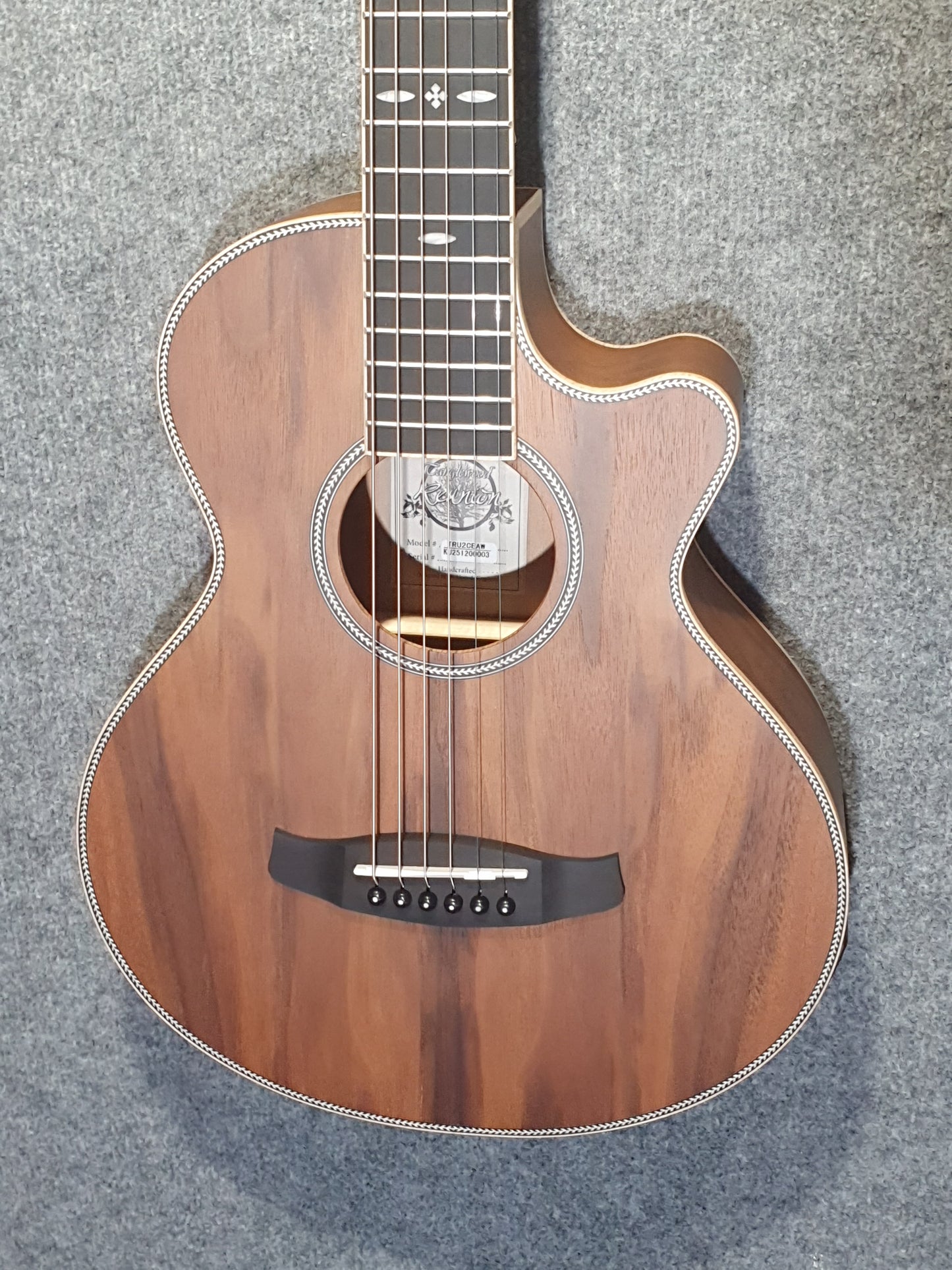 Tanglewood TRU2CEAW Reunion Pro Traveller