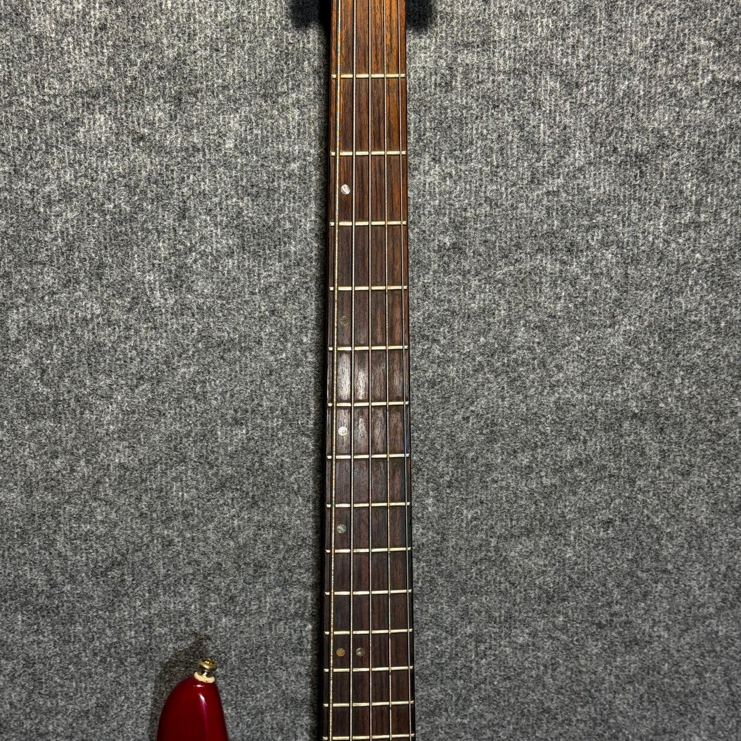 Tanglewood 5 String Bass Guitar