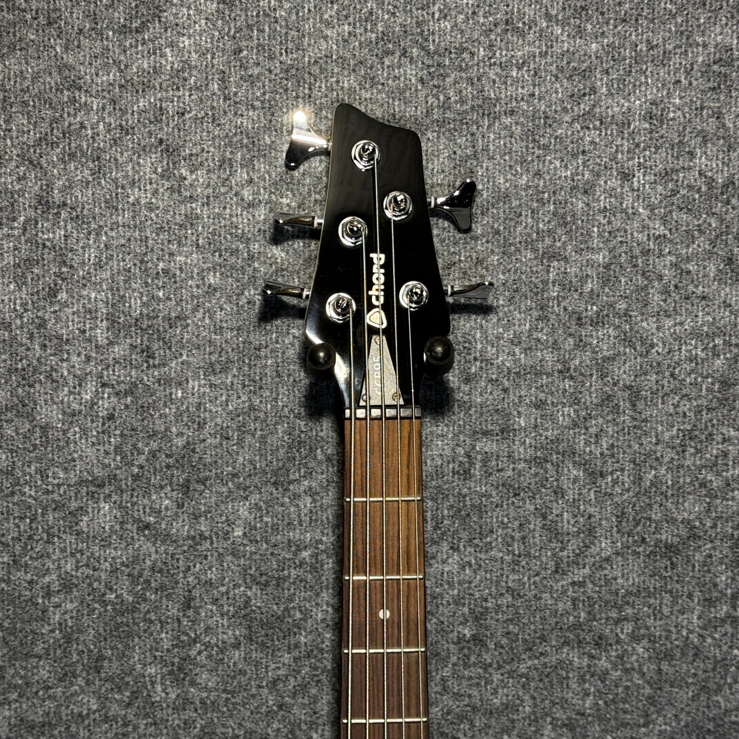 Chord 5 String Bass Guitar