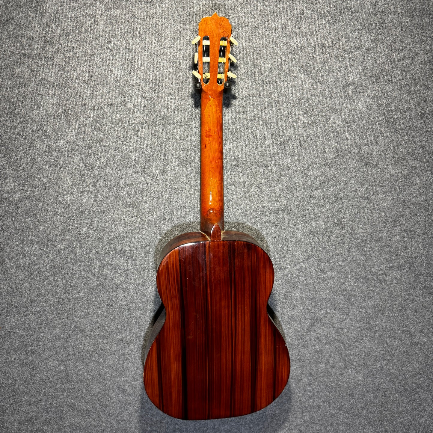 Swallow 4/4 Classical Guitar