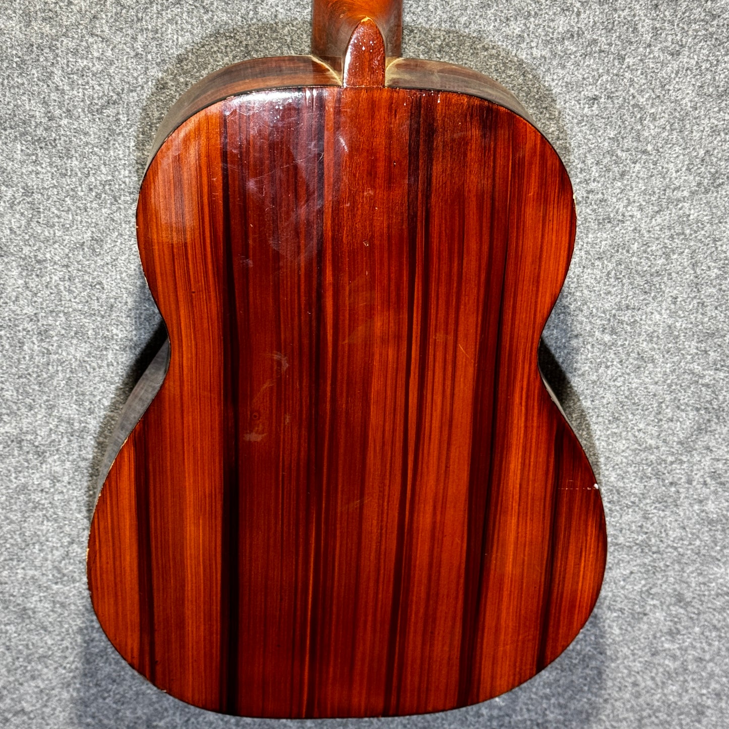 Swallow 4/4 Classical Guitar