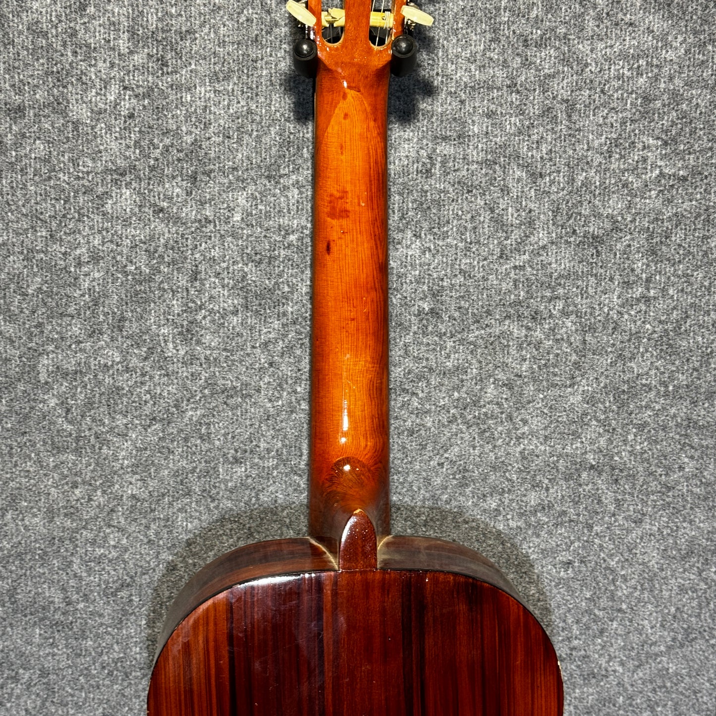 Swallow 4/4 Classical Guitar