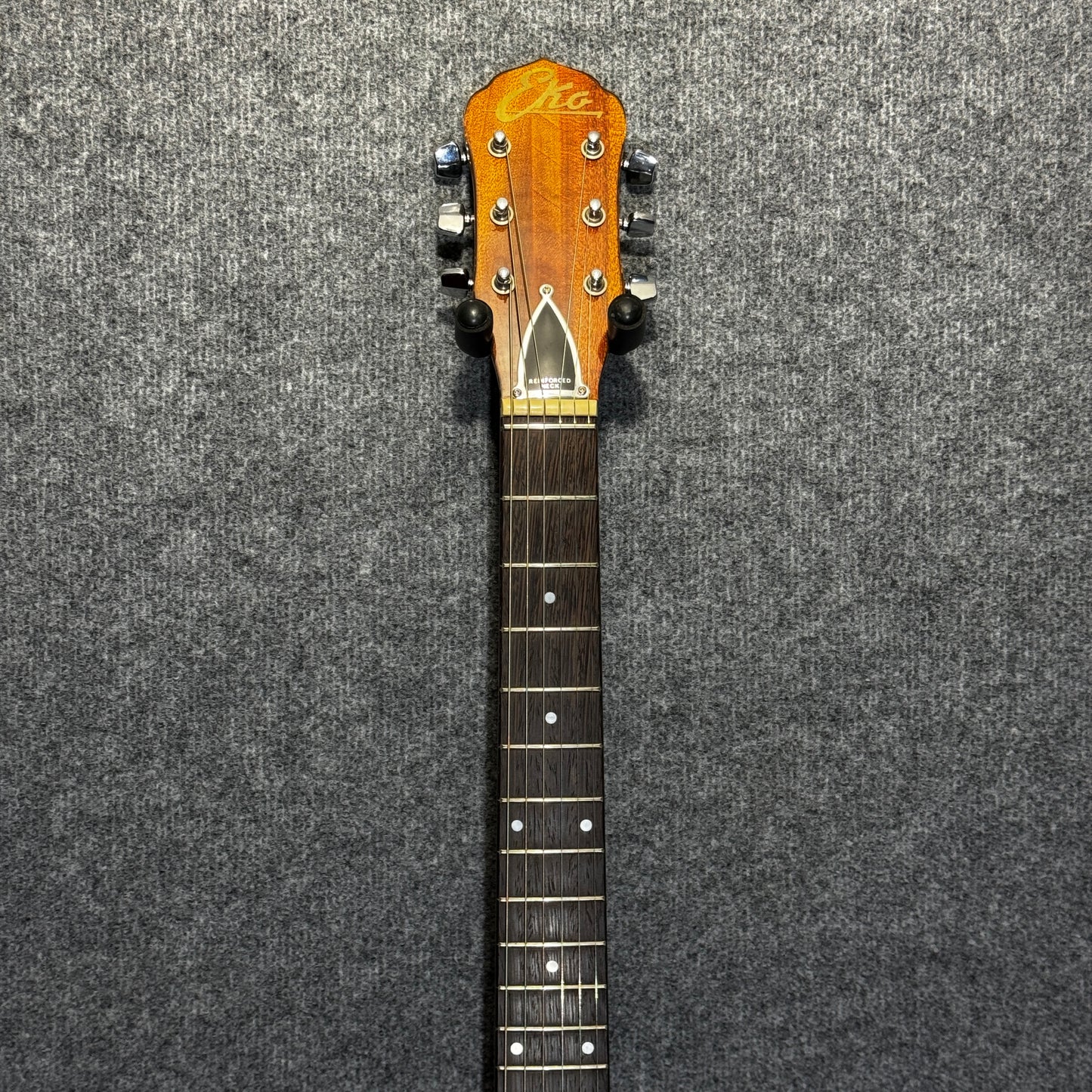 EKO 6 String Banjo