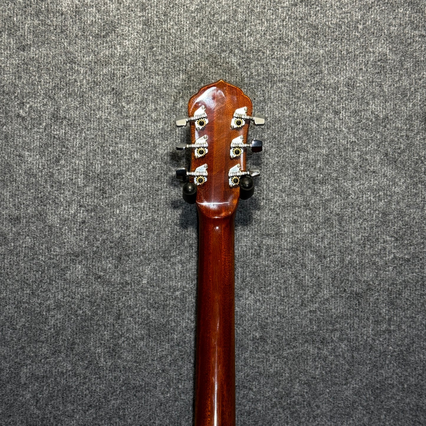 EKO 6 String Banjo