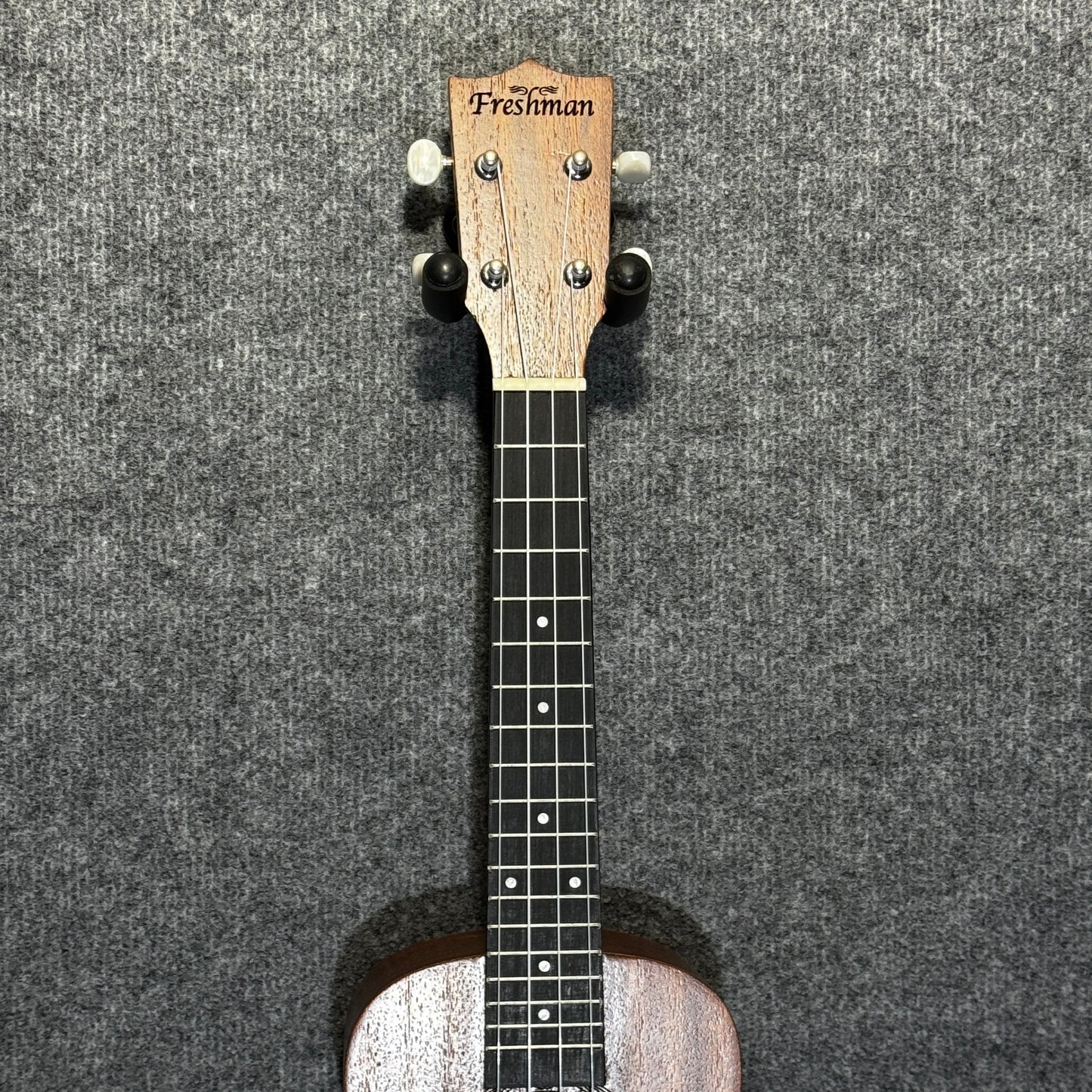 Freshman Concert Ukulele