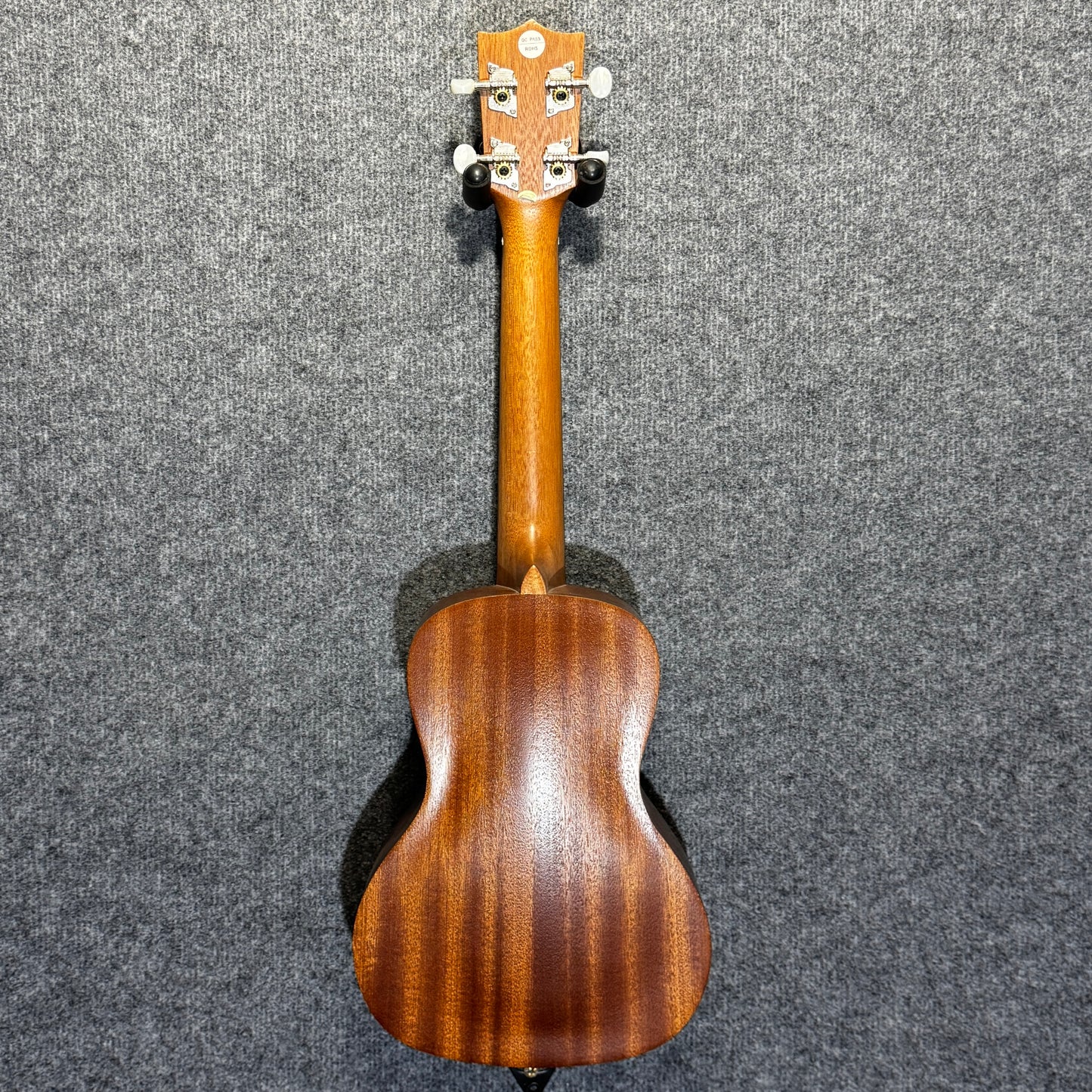 Freshman Concert Ukulele