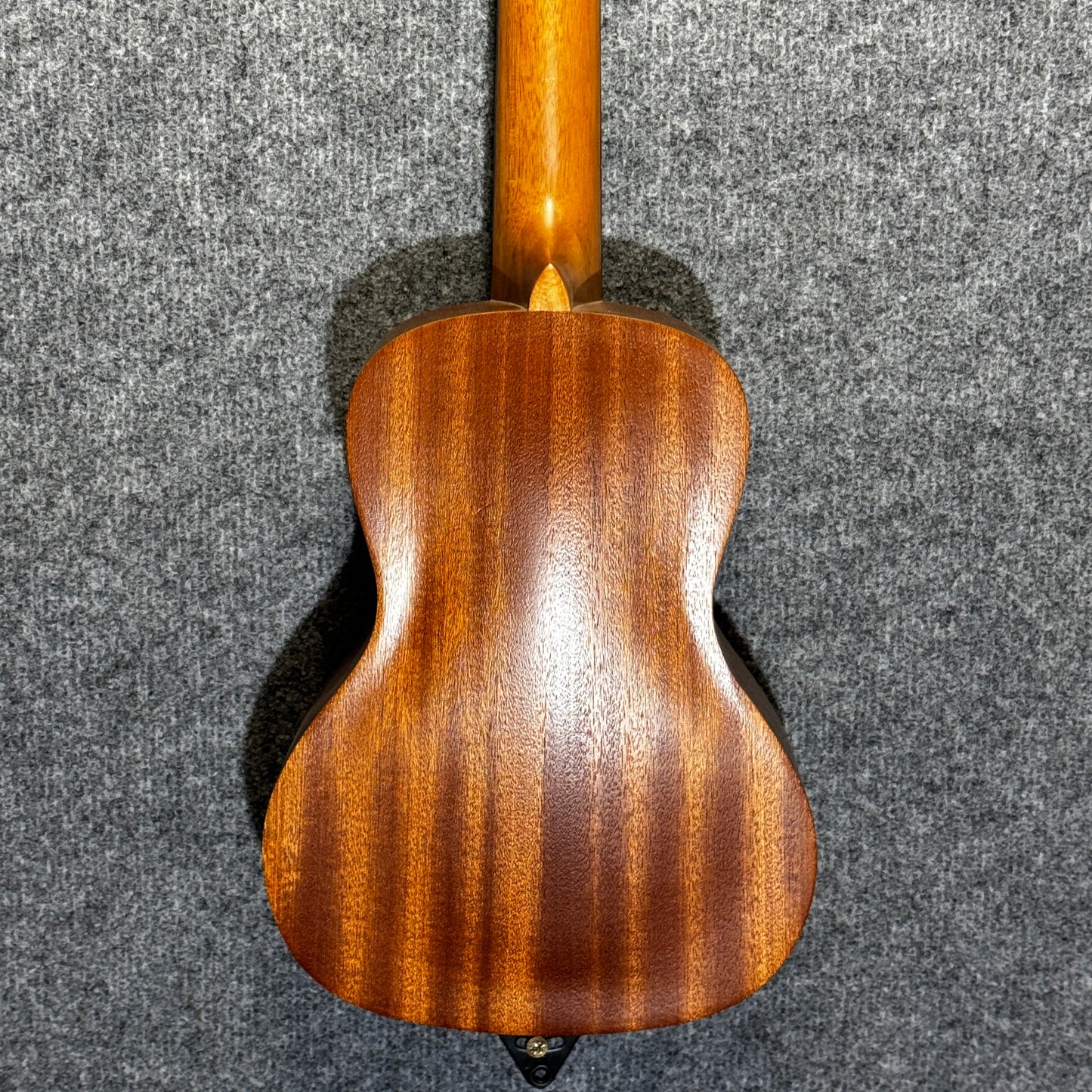 Freshman Concert Ukulele