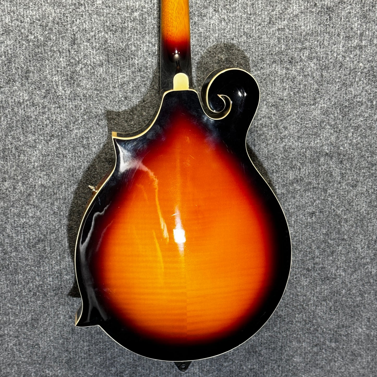 Gold Tone F-Style Mandolin