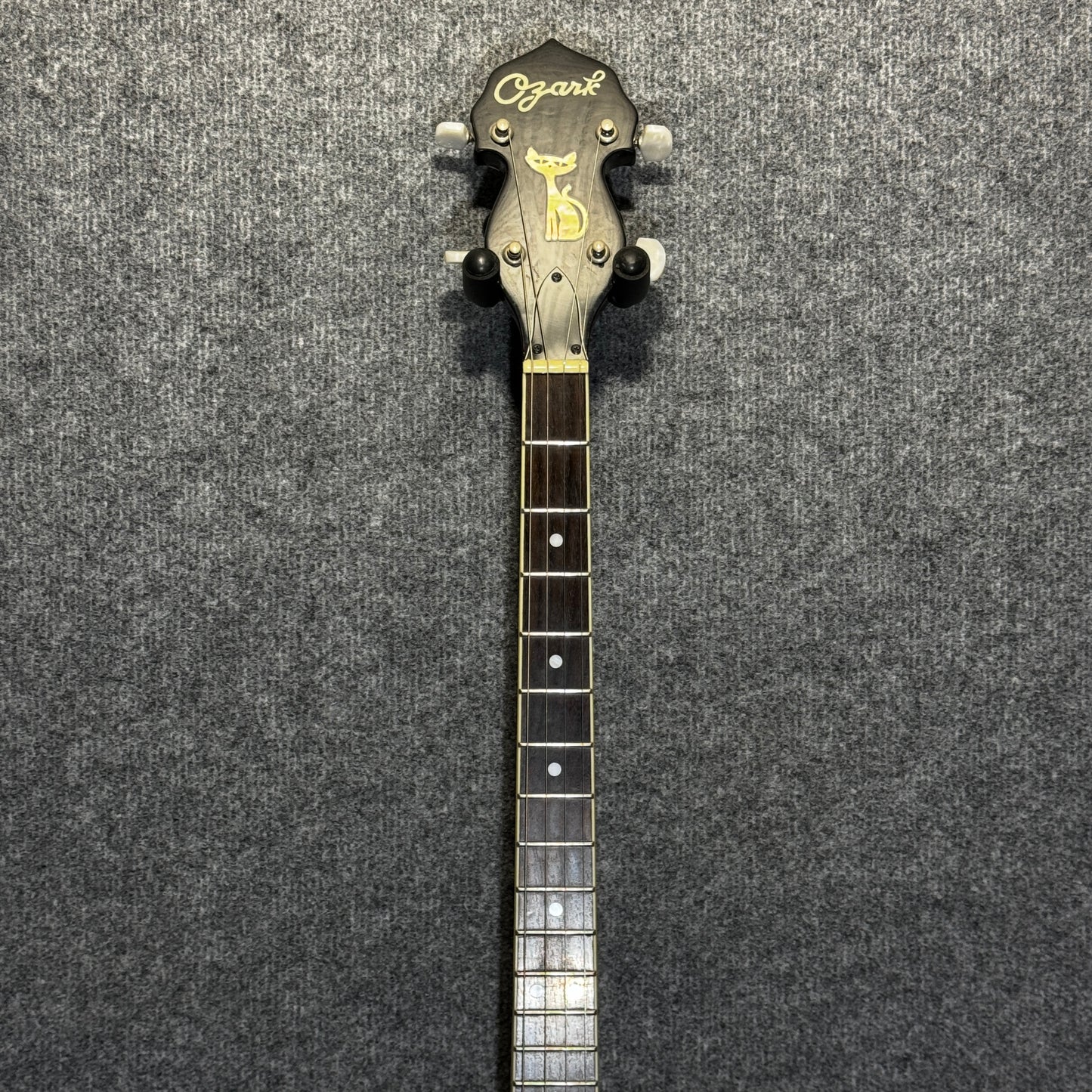 Ozark Tenor Banjo