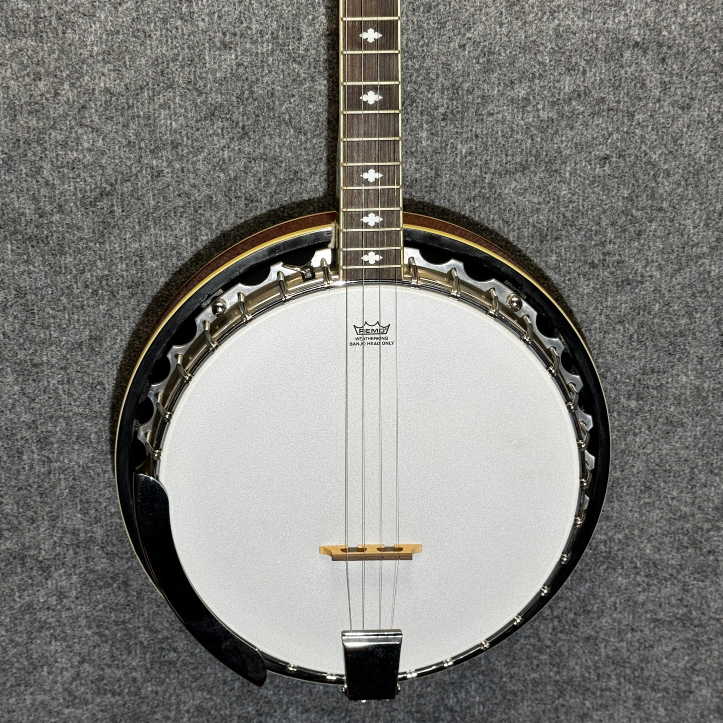 Stagg Tenor Banjo