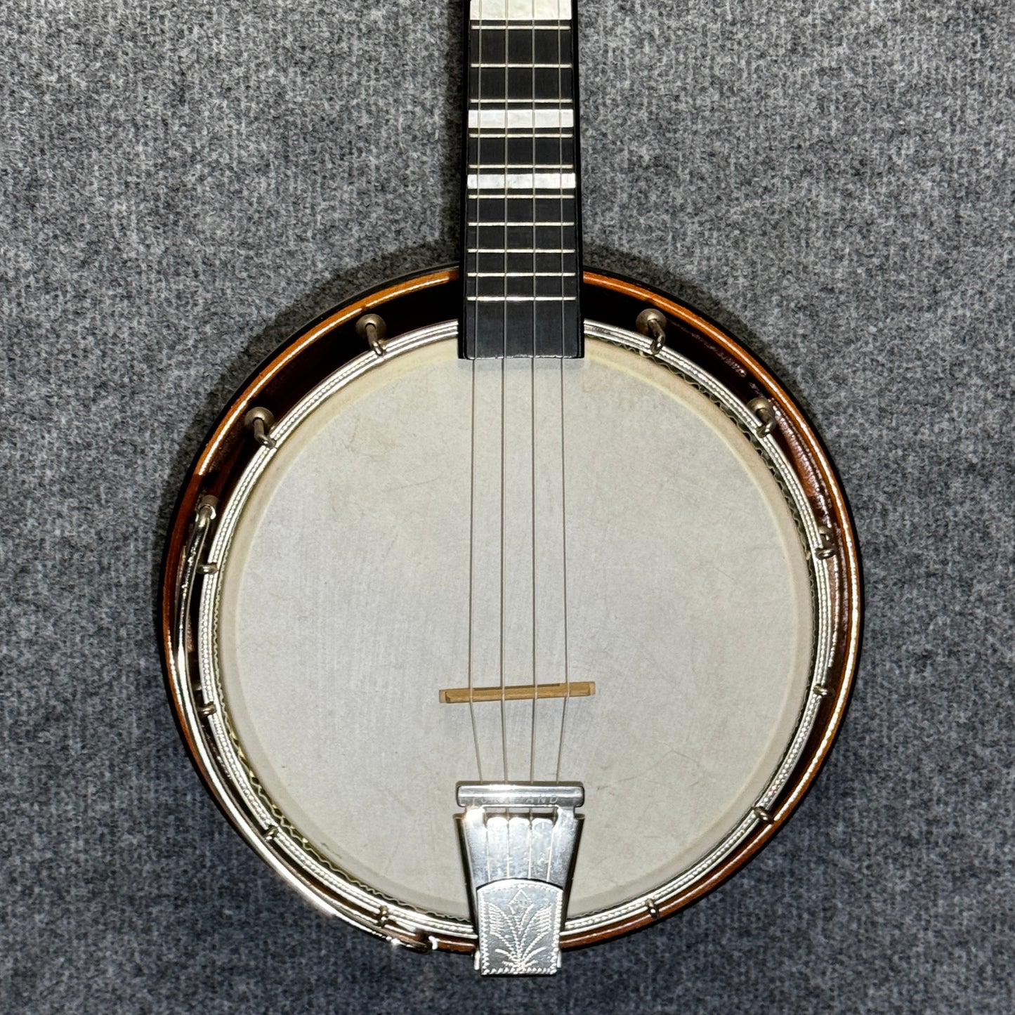 Susan Thorne Banjo Ukulele