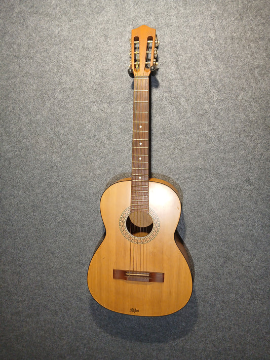 Hofner Acoustic