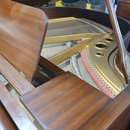 Danemann Baby Grand