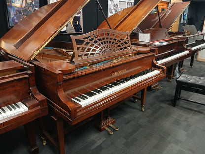 Bechstein Grand Piano