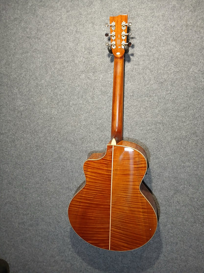 Stagg Electro Acoustic