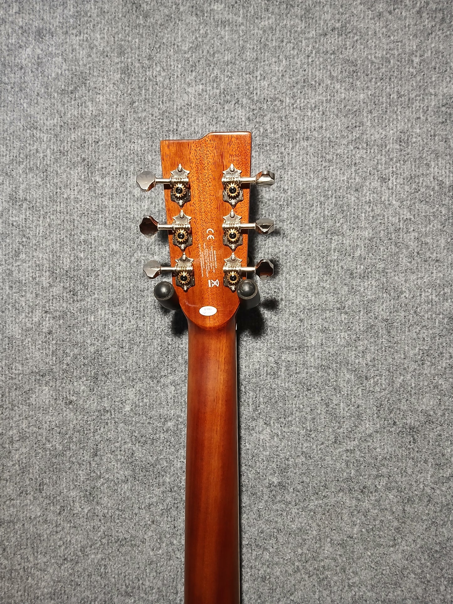 Stagg Electro Acoustic