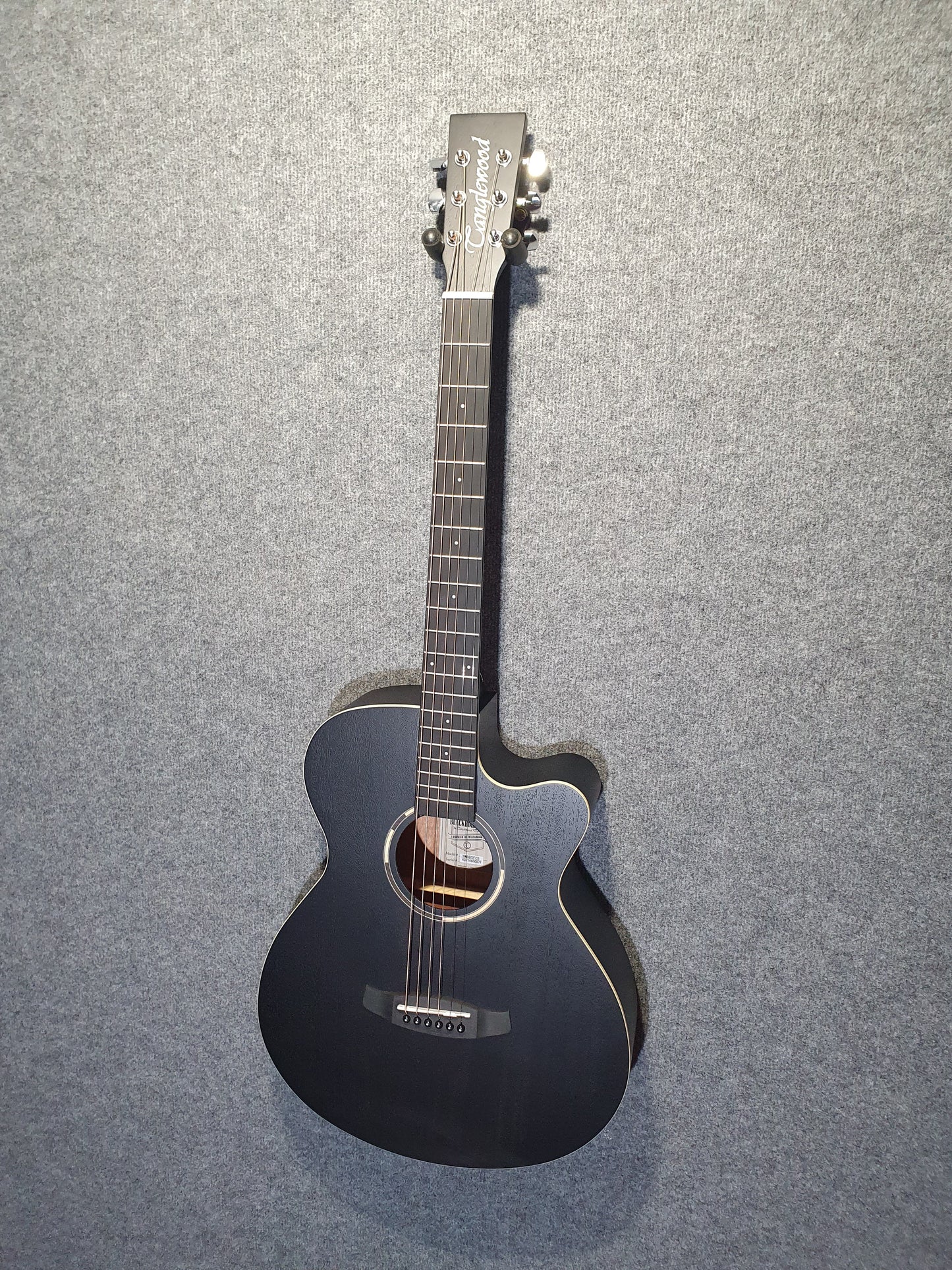 Tanglewood " Blackbird" Electro Acoustic Guitar