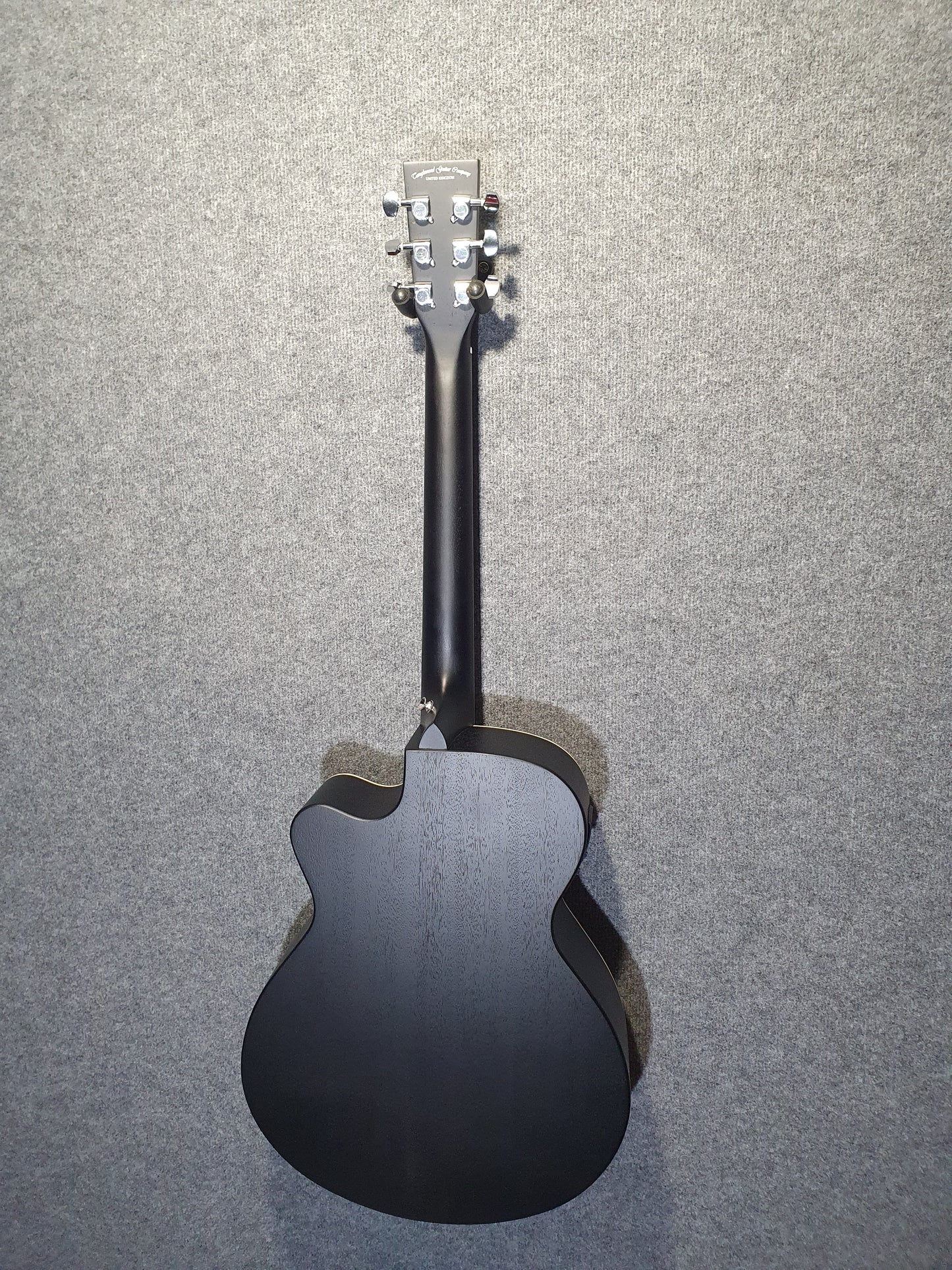 Tanglewood " Blackbird" Electro Acoustic Guitar