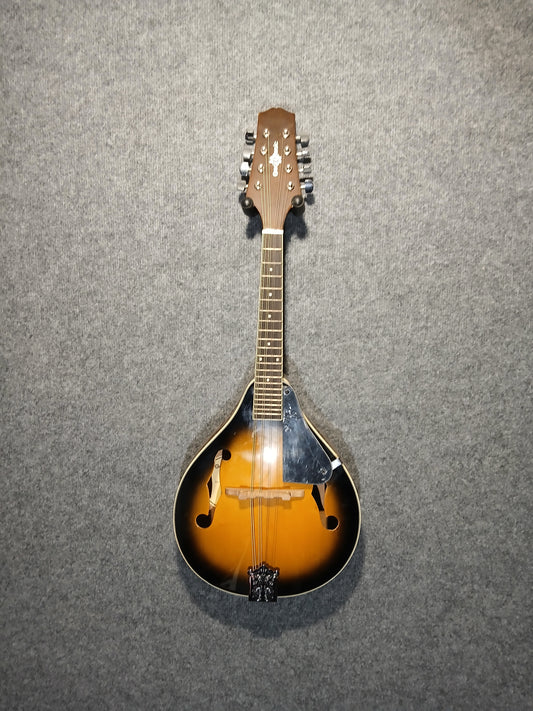 G4 Music Mandolin
