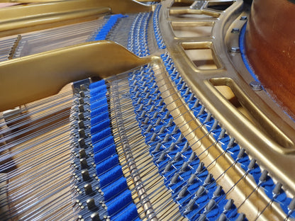 Bluthner Grand Piano