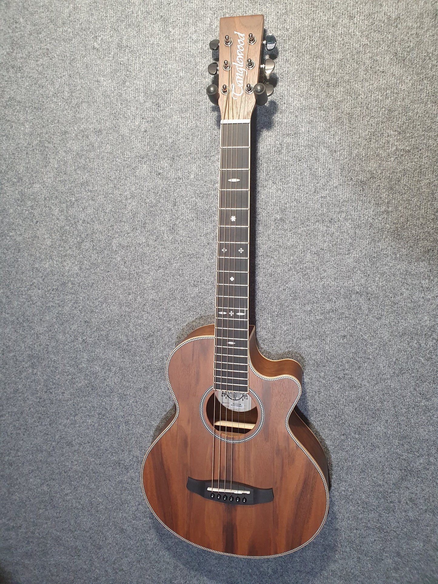 Tanglewood TRU2CEAW Reunion Pro Traveller
