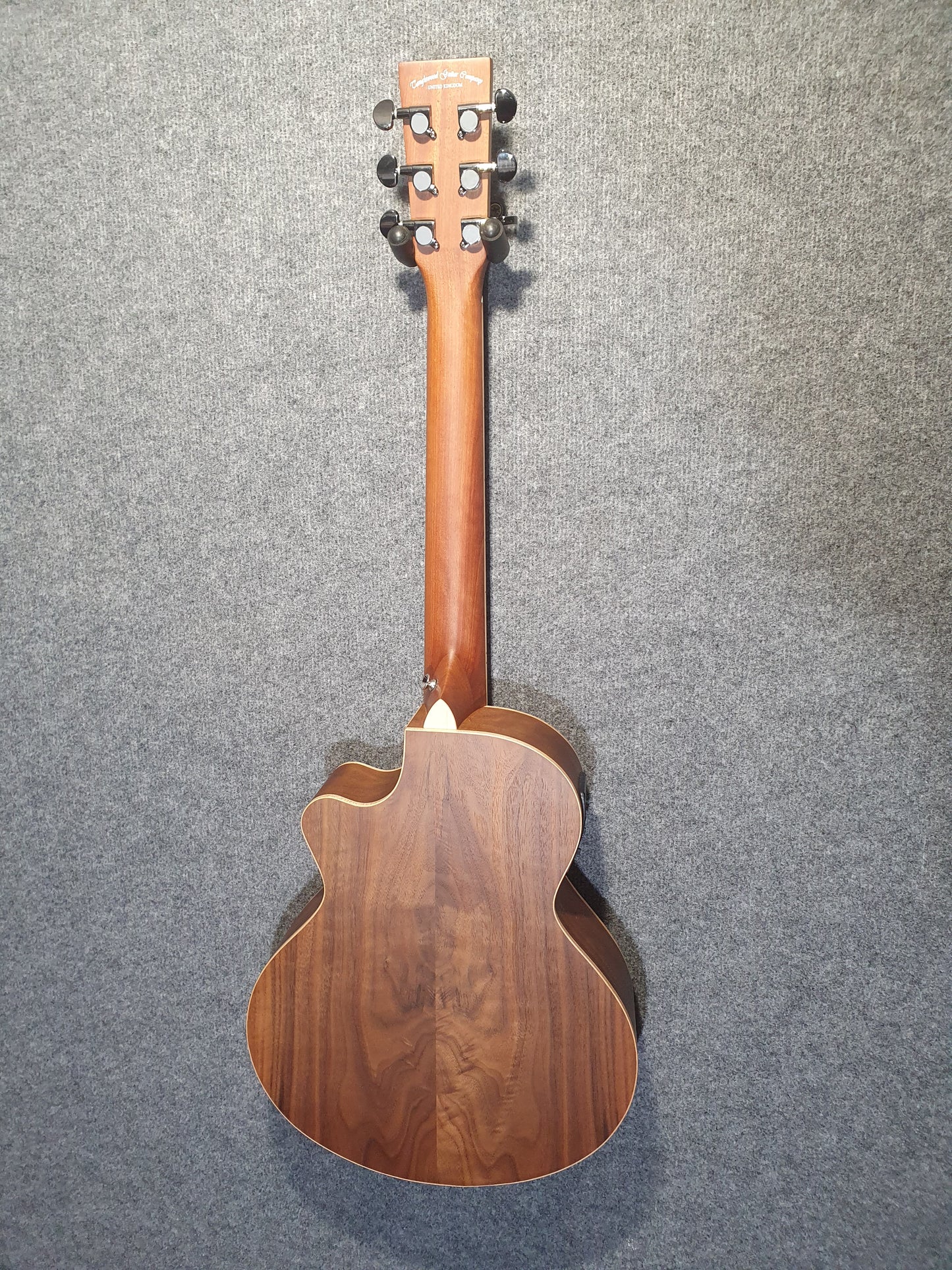 Tanglewood TRU2CEAW Reunion Pro Traveller