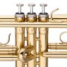 Stagg WS-TR115 Trumpet Outfit