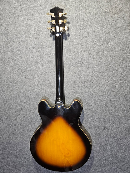 Hendricson "335 Type" Semi Acoustic Guitar