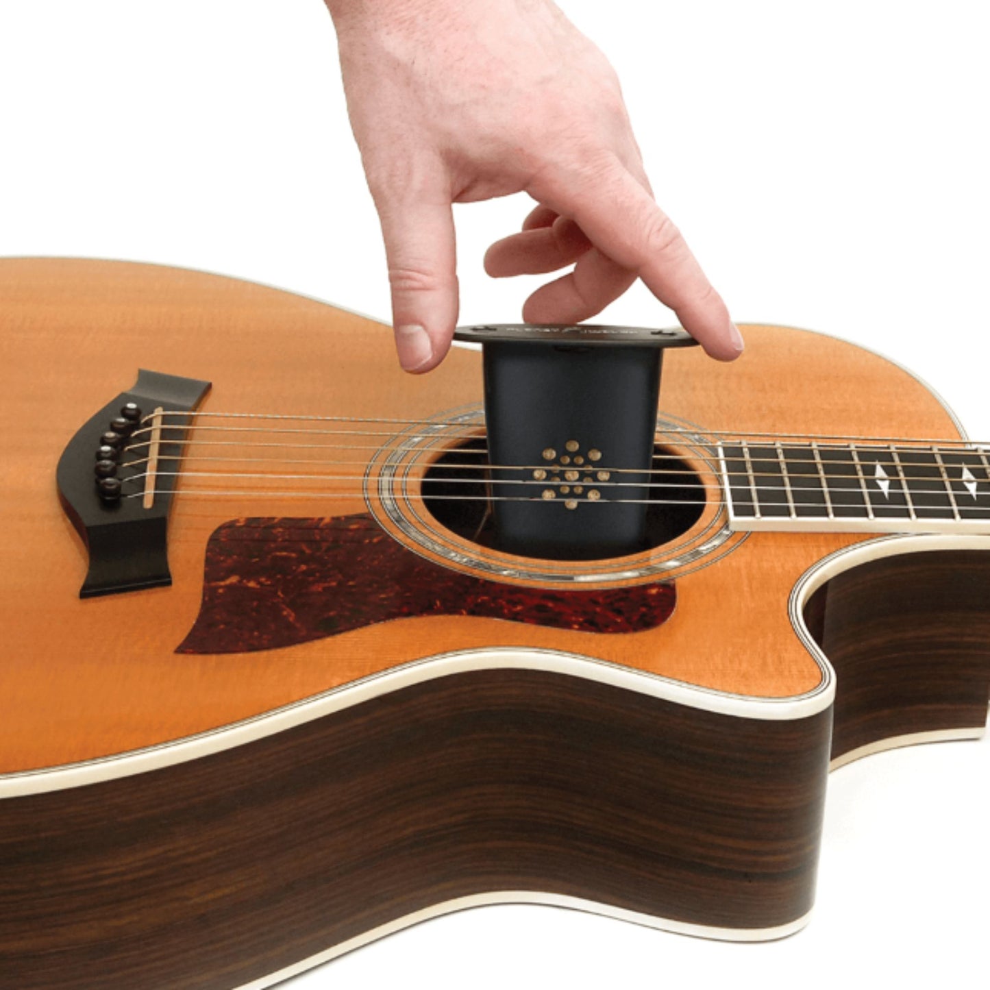 Daddario Acoustic Guitar Humidifier
