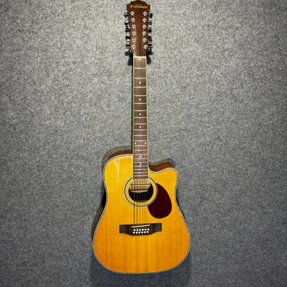 Freshman 12 String Acoustic Guitar