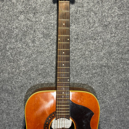 EKO Dreadnought Acoustic Guitar