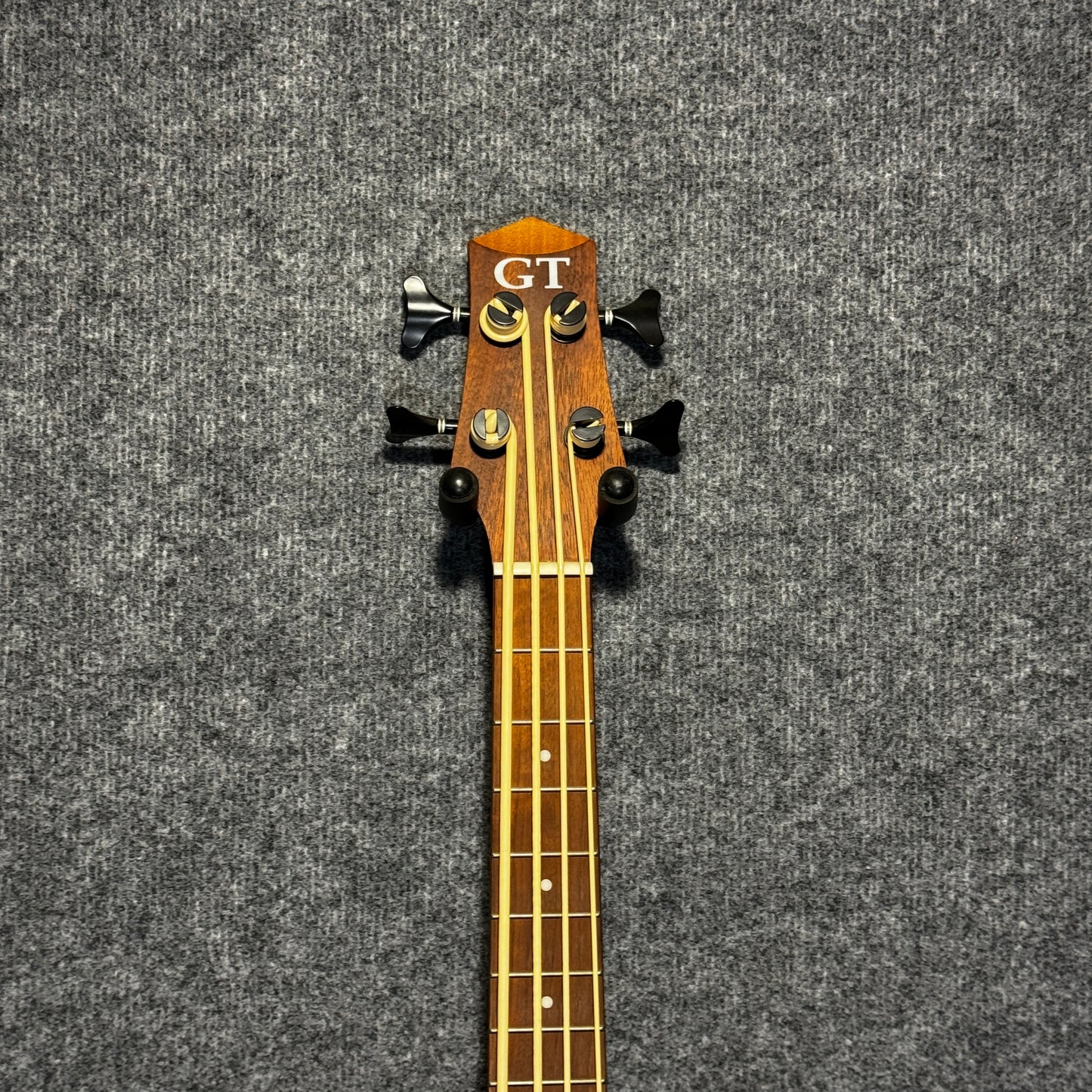 Gold Tone Micro Bass Guitar