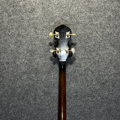 Chord Tenor Banjo