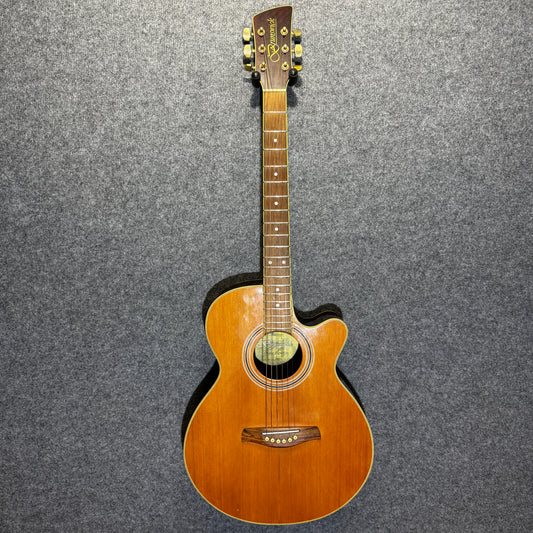 Brunswick Acoustic Guitar (Missing Battery Cover)