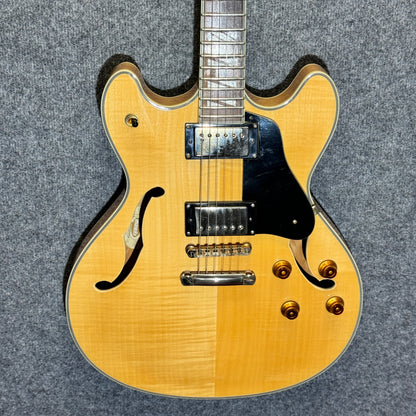 Washburn HB35 Semi-Hollow Electric Guitar