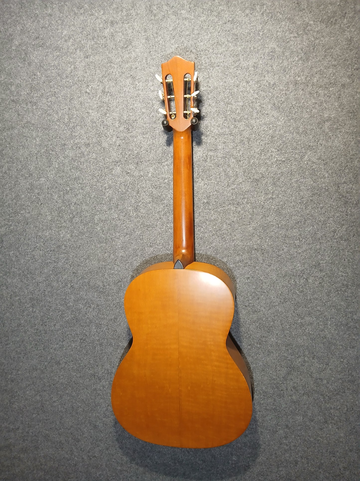 Hofner Acoustic