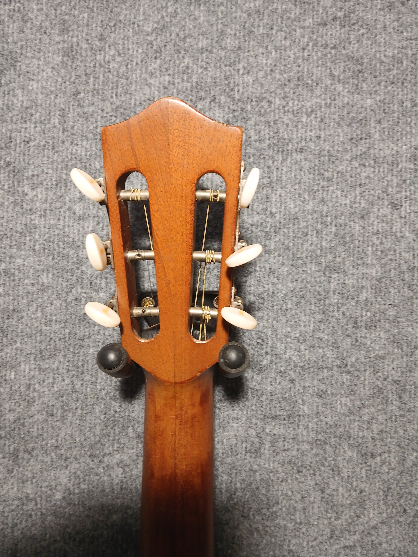 Hofner Acoustic