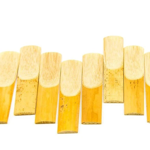 Alto Saxophone Reeds (Various Sizes Available) – All Instruments Ltd